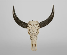Buffalo Bone Skull H70 | Decord.gr