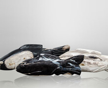 Petrified Wood Fish | Decord.gr