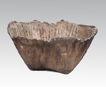 Buffalo Skin Pot | Decord.gr