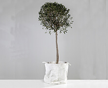 Canvas Pot - White 60cm x 60cm | Decord.gr