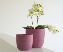 Micmac Orchipots Purple | Decord.gr