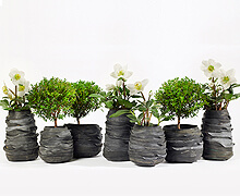 Pots & Pots Rub Moniek Recycle | Decord.gr