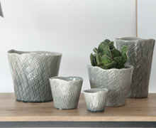 Tangle Orchipots Light Grey | Decord.gr