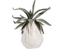 Tulip Vase White Matt Glazed Porcelain | Decord.gr